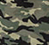 forest camo